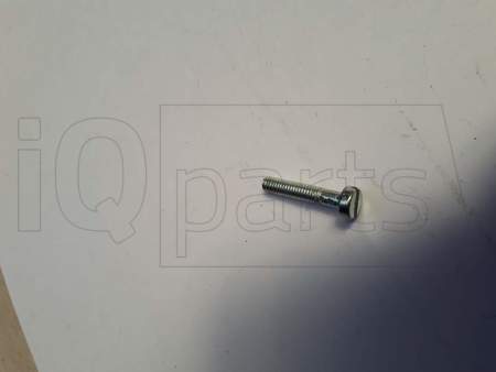 Boulon , M4X20 DIN8243 VZ