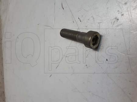 Schraube X-1245, M12X45 8.8 VZ DIN 6912 O.M