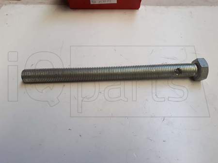 Schraube SKT-SCHRAUBE, M24X300 VZ